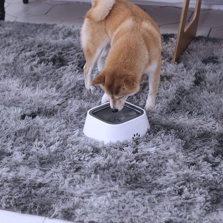 PupSip Okos itató